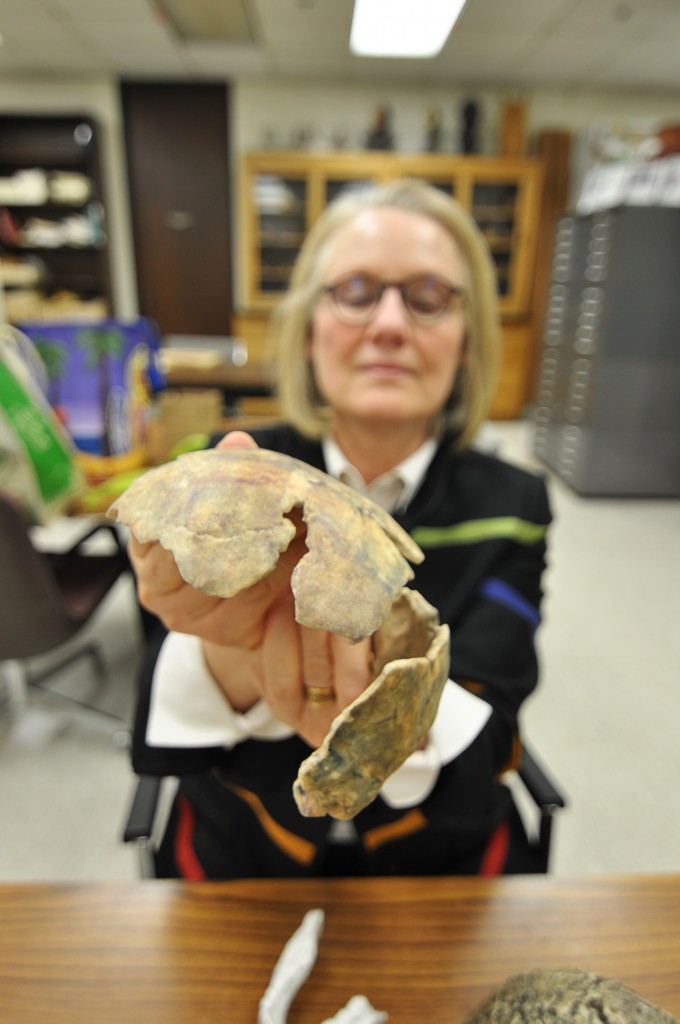 Dr. Susan McIntosh displays the cast of Homo naledi produced by the 3D printer. 