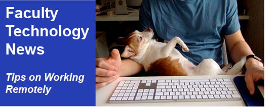 Faculty Technology News (photo of dog in lap of man at computer)