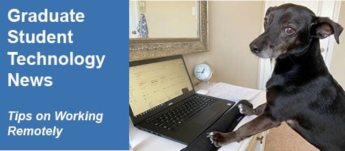 Graduate Student Technology News (photo of dog at laptop)